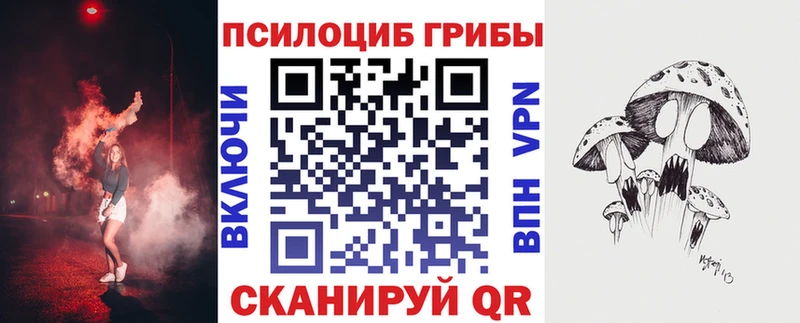 наркошоп  Нолинск  MEGA сайт  Галлюциногенные грибы мухоморы 